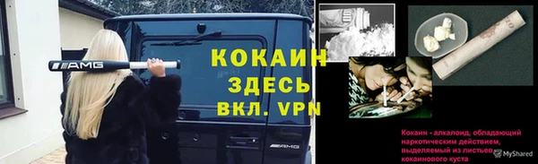 молекула духа Нефтекумск